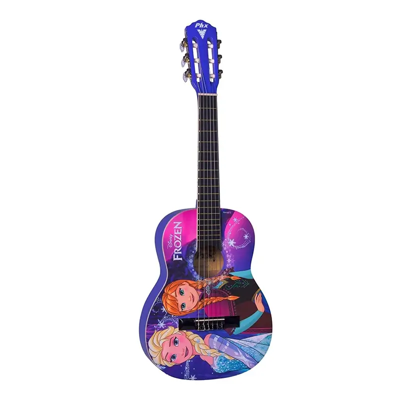 Acoustic Guitar Frozen